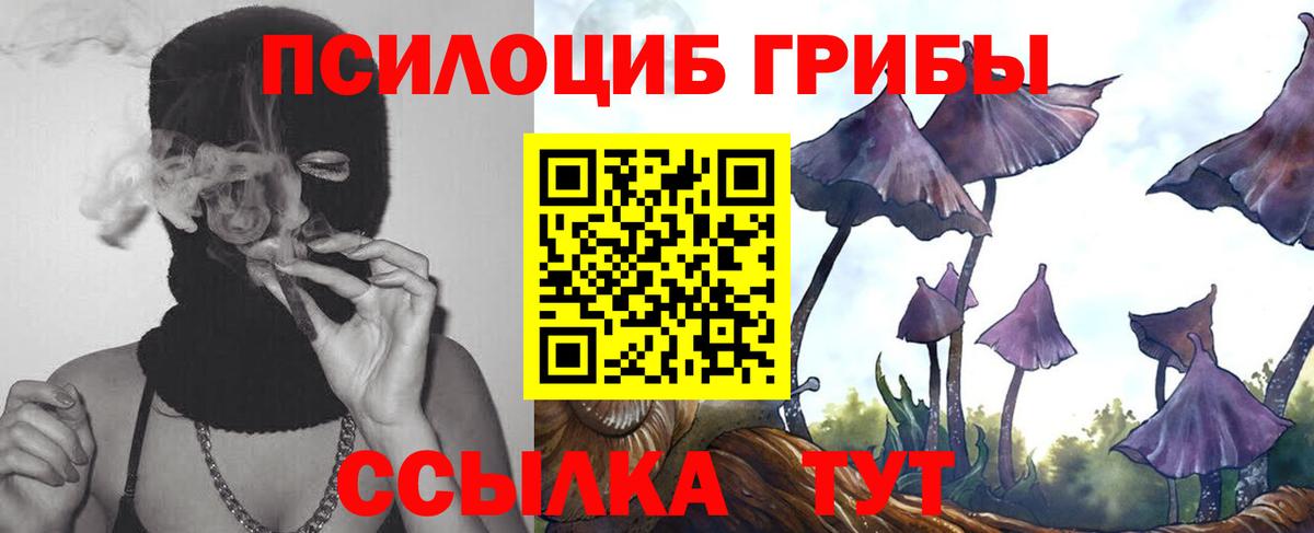 Псилоцибиновые грибы Psilocybine cubensis  Вход с VPN  где можно купить   Минусинск 